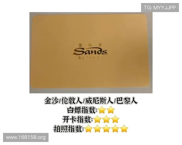 全面解析金沙会会员权益与加入指南